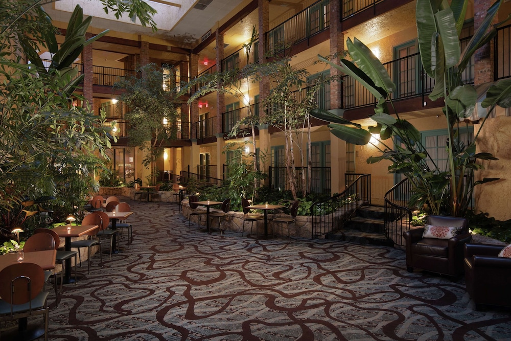 Embassy Suites Lubbock - photo 4