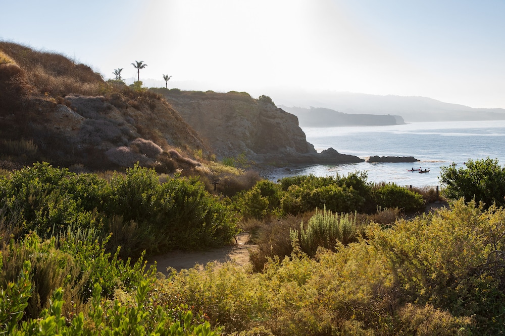 Terranea Resort - photo 86