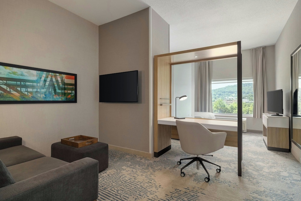 SpringHill Suites by Marriott Roanoke - photo 11