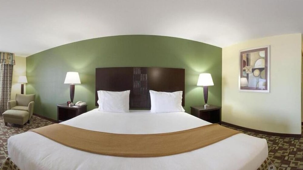Holiday Inn Express Hotel & Suites Dumas by IHG - photo 17