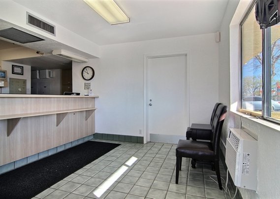Gazelle Stay - photo 8