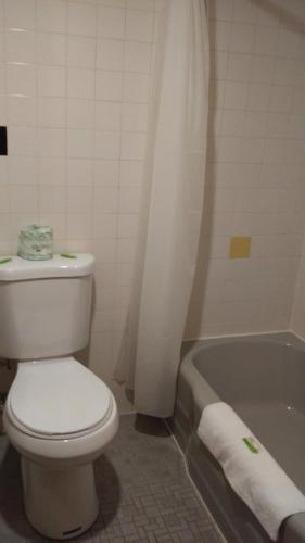 Towne Center Motel - photo 52