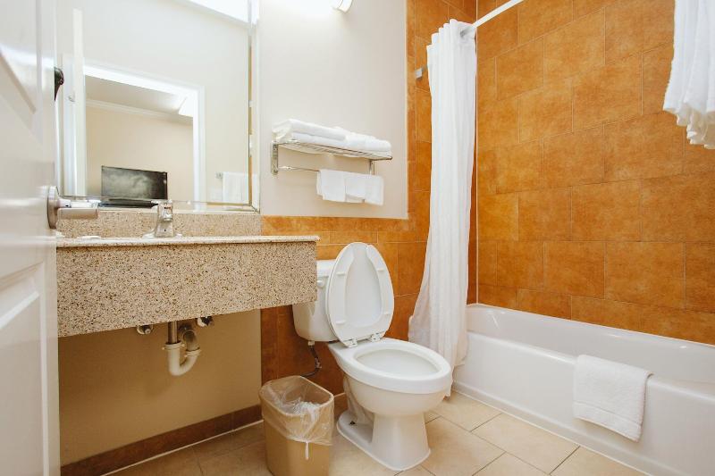 Palace Inn Copperfield - photo 11