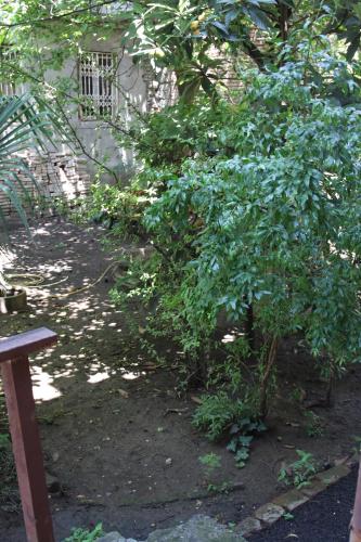 Guest House Teo