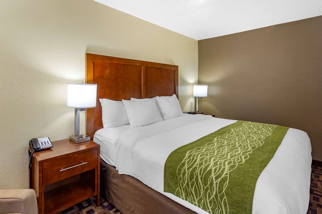 Comfort Inn & Suites North Aurora Naperville - photo 4