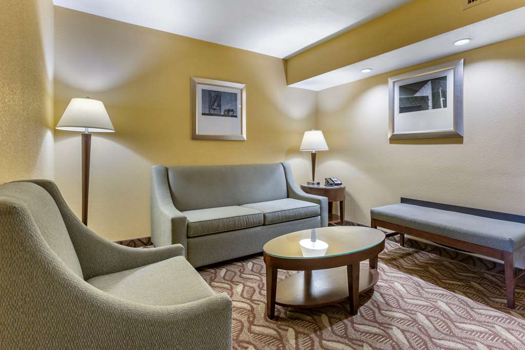 Clarion Inn and Suites Roswell NM - photo 15