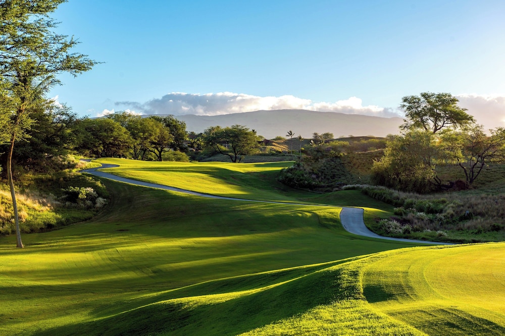 The Westin Hapuna Beach Resort - photo 84