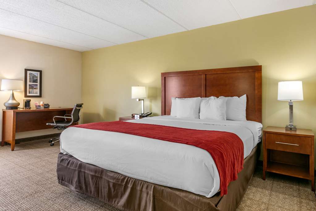 Comfort Inn Chattanooga Downtown Southside - photo 53