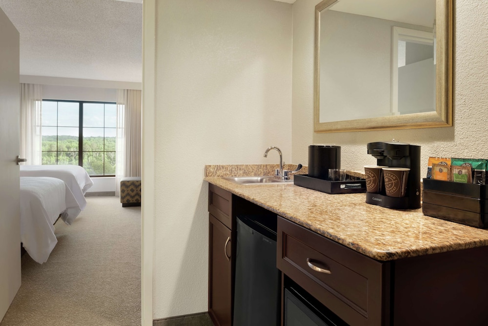 Embassy Suites by Hilton Atlanta Alpharetta - photo 16