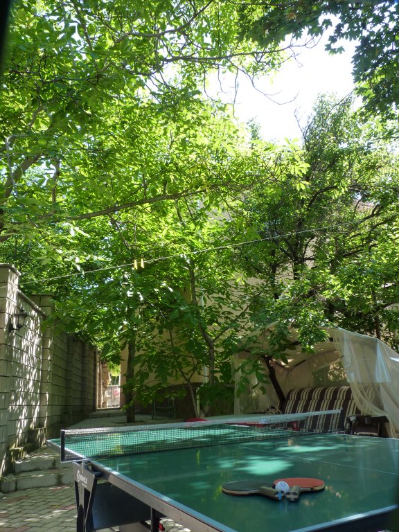 Aparthotel Grapevine - carbon neutral hotel in Unknown City