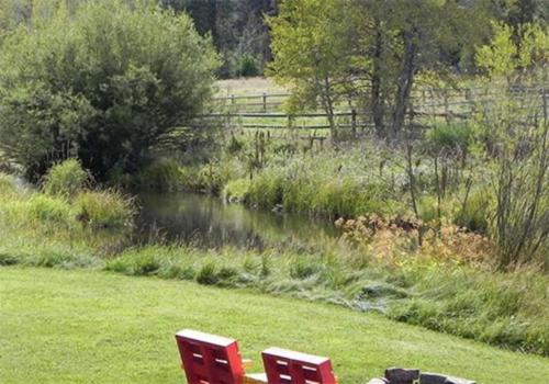 Cold Springs Resort - photo 26