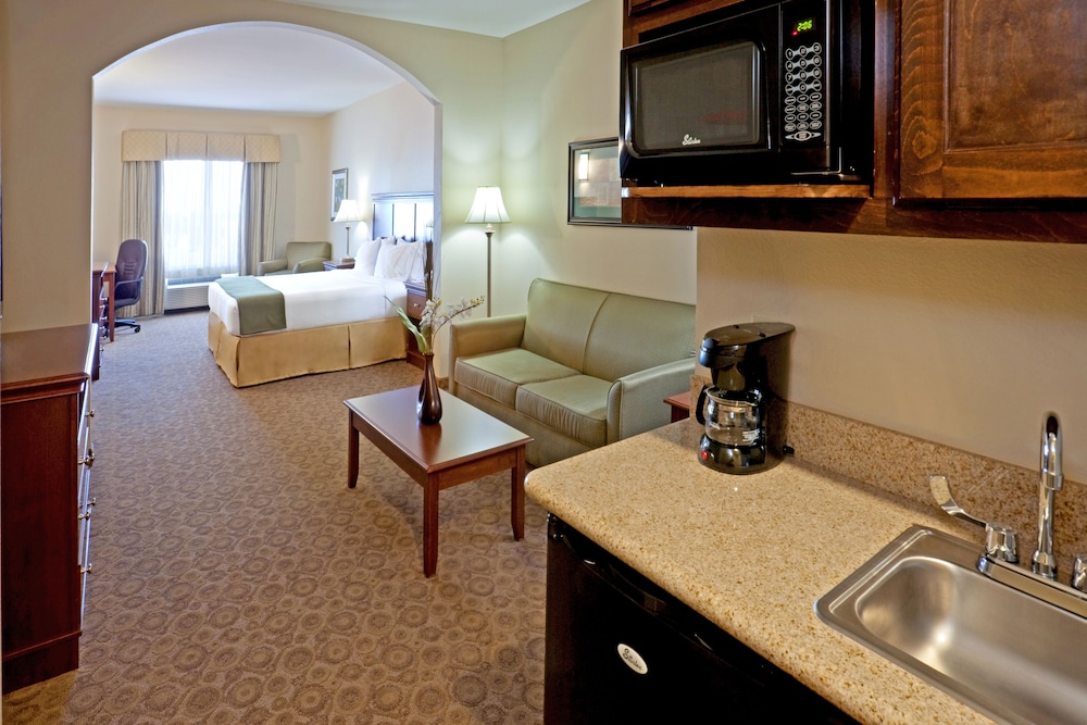 Holiday Inn Express & Suites Dallas Southwest Cedar Hill by IHG - photo 8