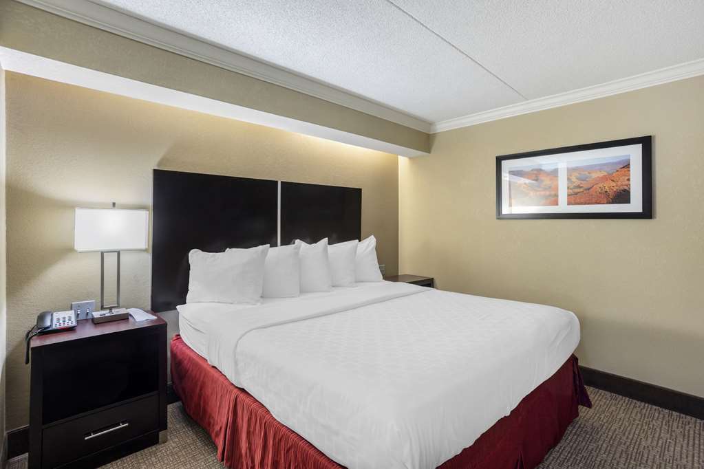 Best Western Harrisburg North Hotel - photo 32