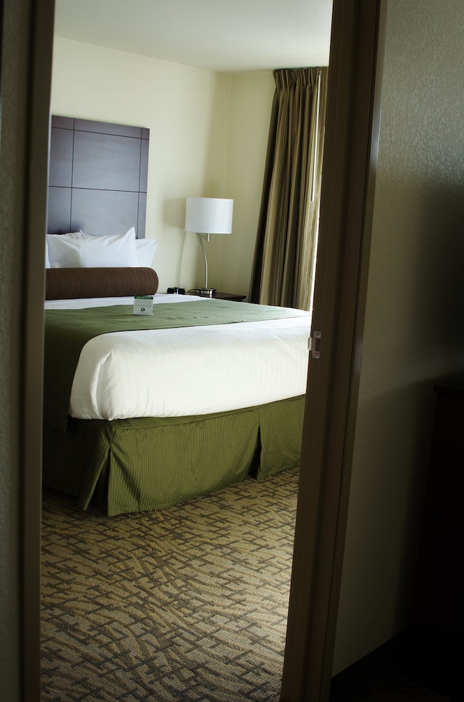Cobblestone Inn & Suites Soda Springs - photo 15