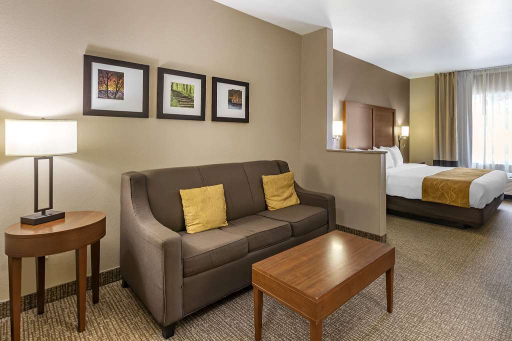 Comfort Suites Coralville I 80 - photo 9