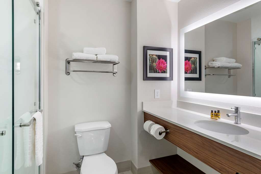 Best Western Plus Coachella Valley Inn & Suites - photo 22