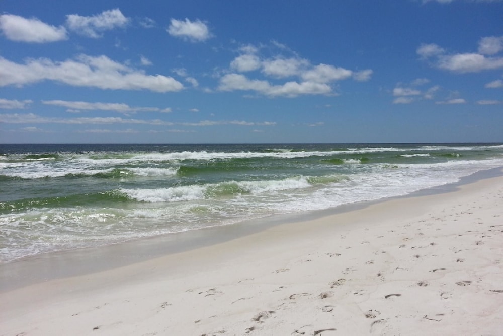 Majestic Beach Tower II 2 Bedroom Apartment - photo 21