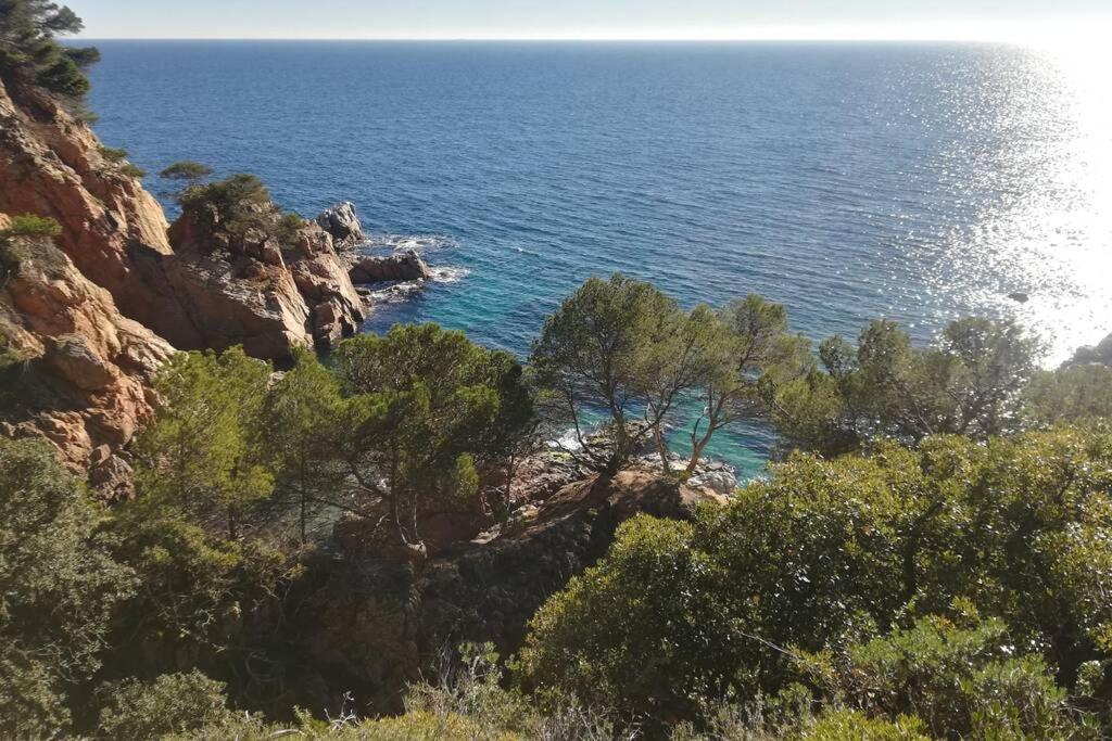 Cba Costa Brava Santa Monica — Tossa De Mar