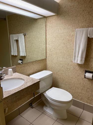 Budget Inn Temple Hills - photo 20