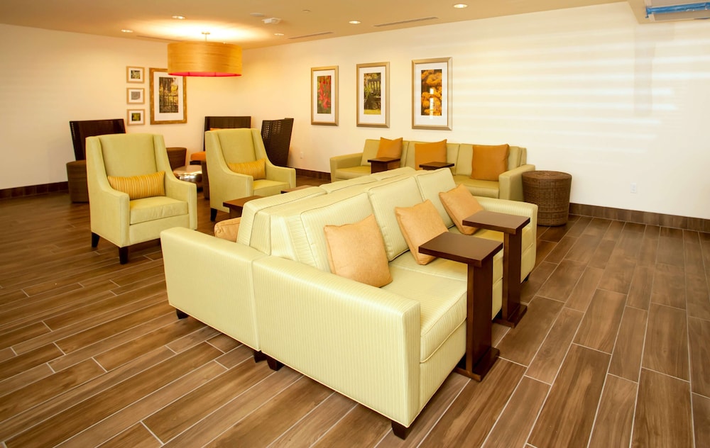 Hilton Garden Inn San Antonio Live Oak Conference Center - photo 6