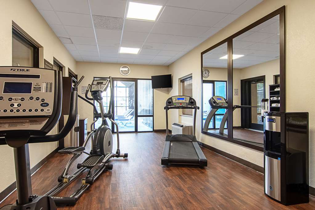 Comfort Suites Knoxville Airport - photo 30