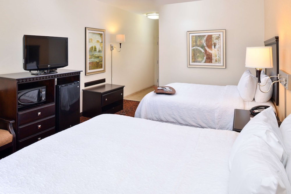Hampton Inn Pecos - photo 13