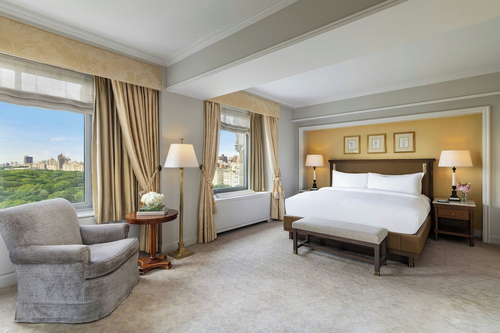 The Ritz Carlton New York Central Park - photo 35