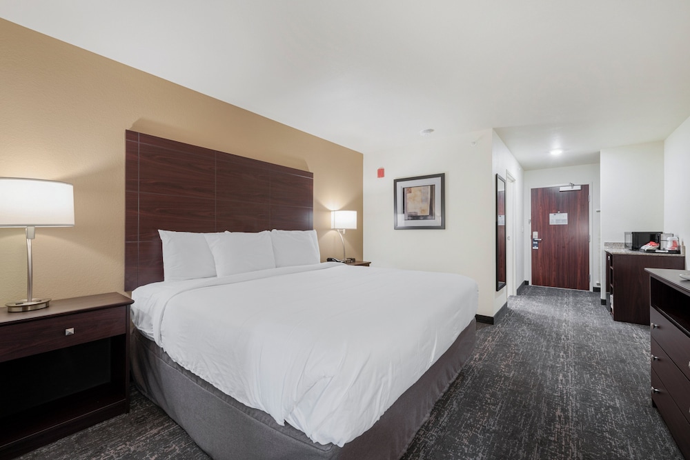Cobblestone Hotel & Suites Urbana - photo 30