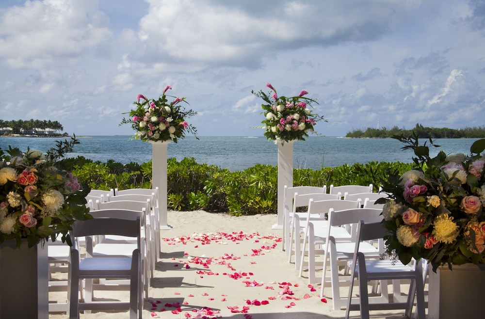 Pier House Resort & Spa - photo 105