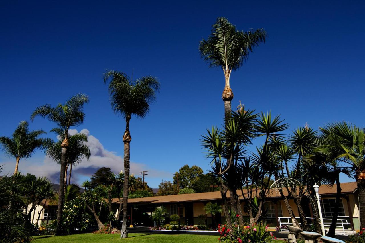 Palm Tropics Motel - photo 14