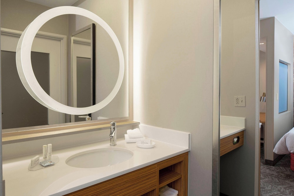 Springhill Suites St. Louis Airport Earth City - photo 9