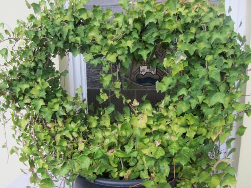 Haus Sonnenblick — Lam — photo 5