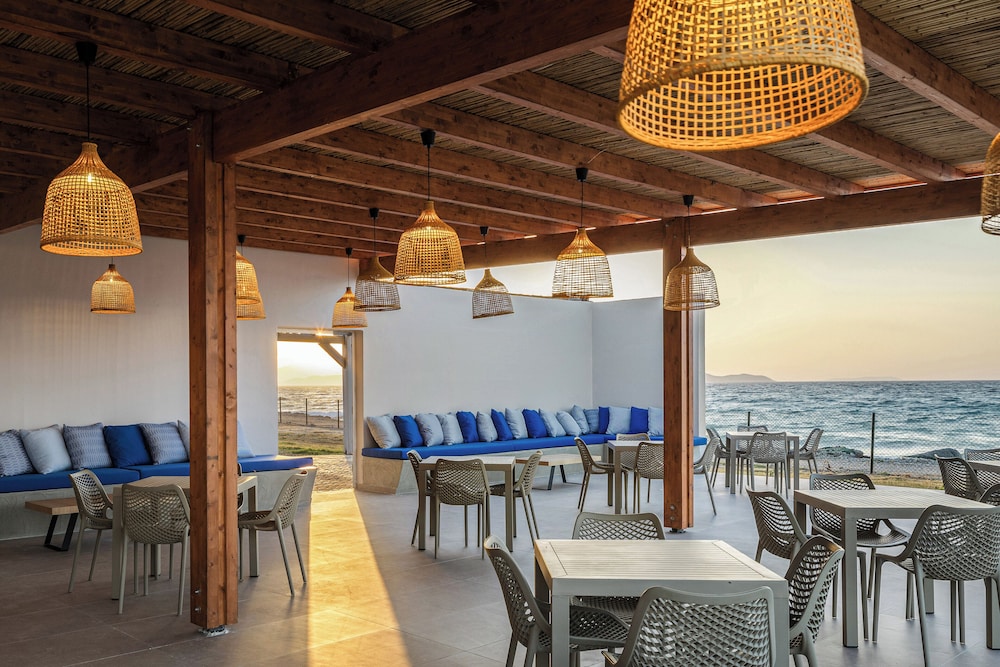 שטחי חוץ / גן