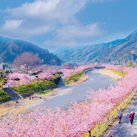 Shofukunoyado Ebisuya - carbon neutral hotel in Izunokuni