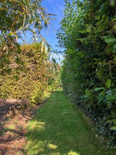 Ley Park — Bideford — photo 4