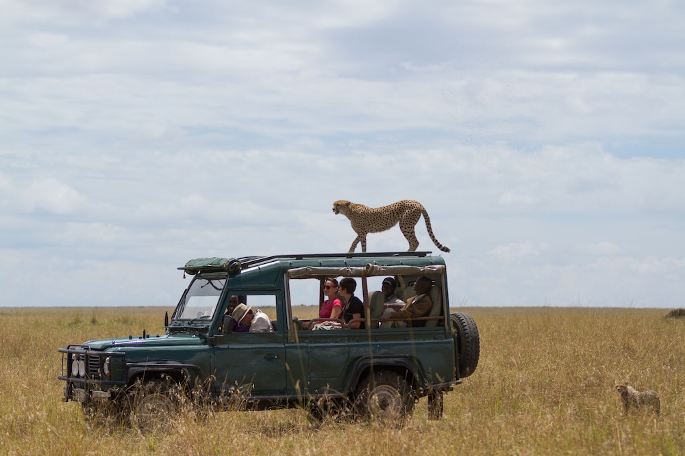 Game drive