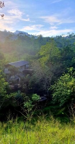 Willow's Abode - carbon neutral hotel in Kandy