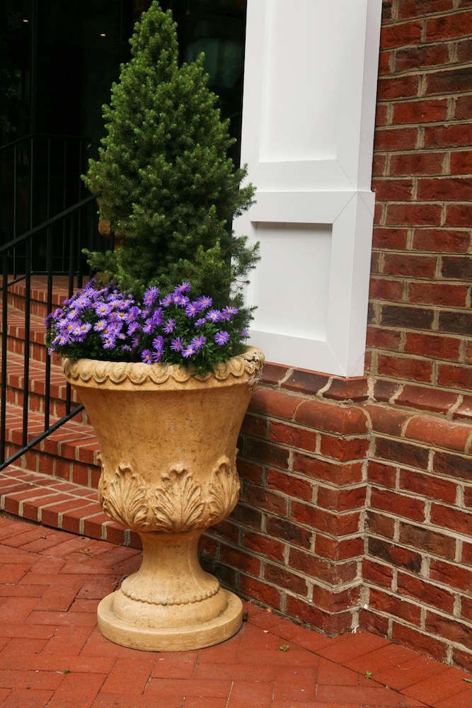 Main Street Inn - photo 35