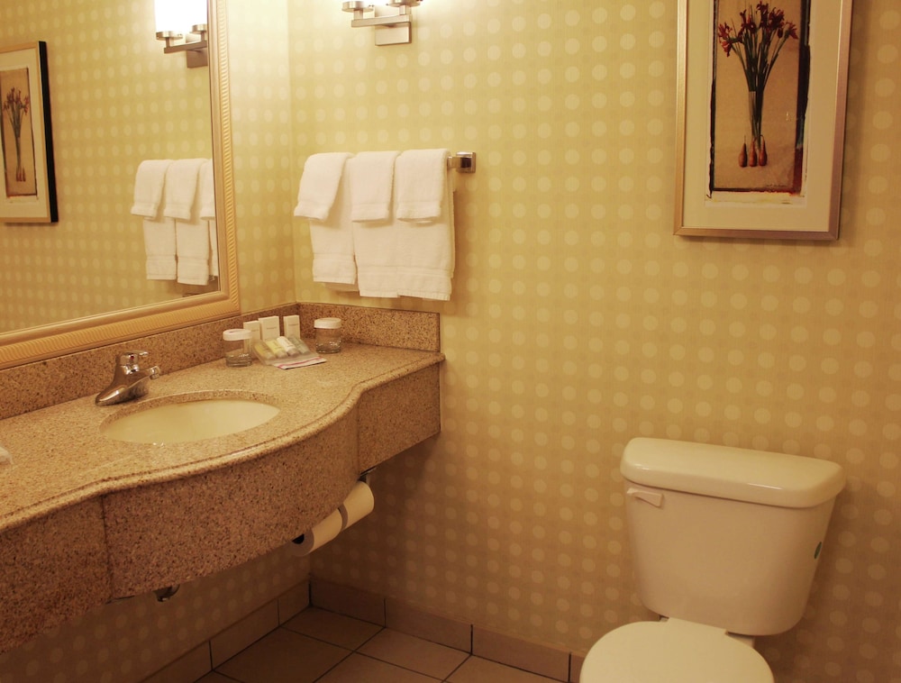 Hilton Garden Inn Starkville - photo 66