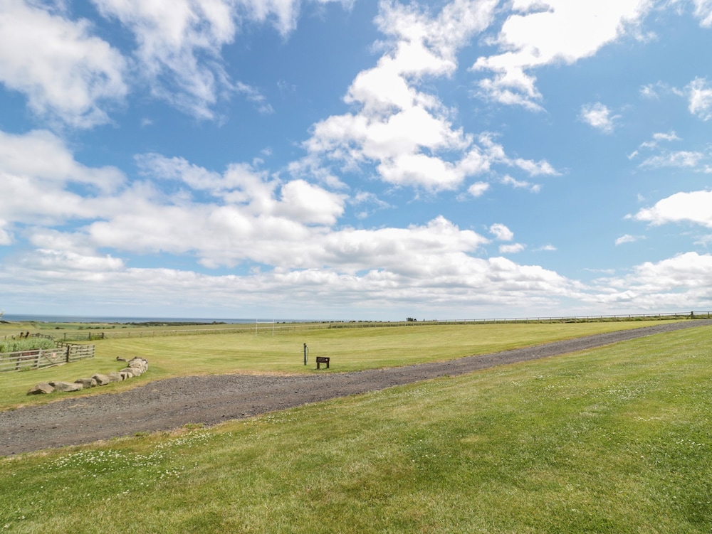 Stable D’or — Alnwick — photo 4