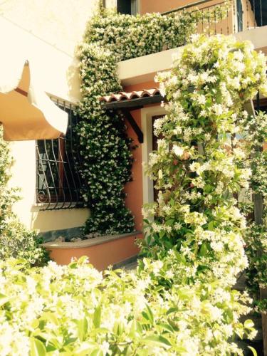 Albergo Ristorante Bergallo — hotel in Tovo San Giacomo