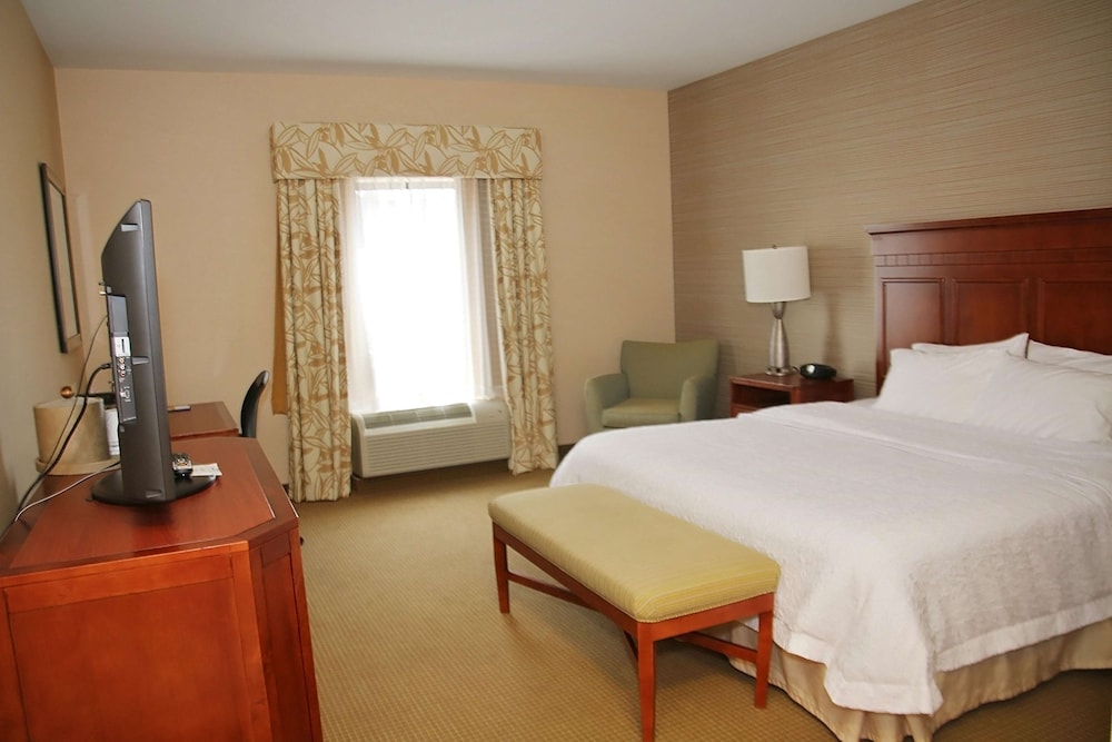 Hampton Inn Detroit Auburn Hills North - photo 15