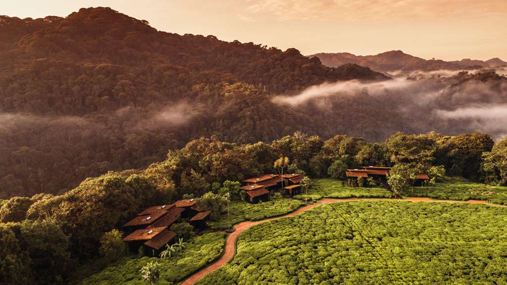 One&Only Nyungwe House — 5-Star Luxury Hotel in Kigali, Rwanda