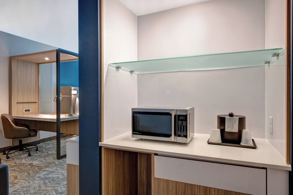 SpringHill Suites by Marriott Orangeburg - photo 8