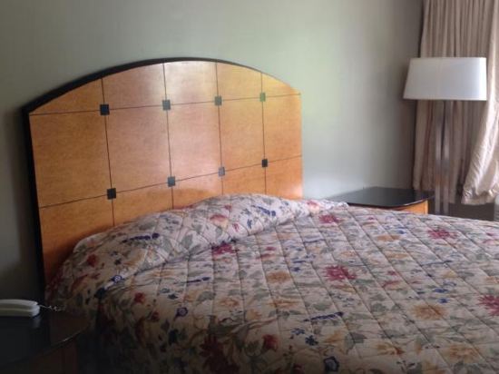Carolina Duke Inn - photo 12