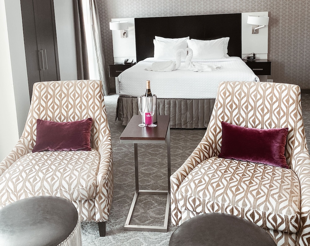 Crowne Plaza Chicago SW Burr Ridge by IHG - photo 14