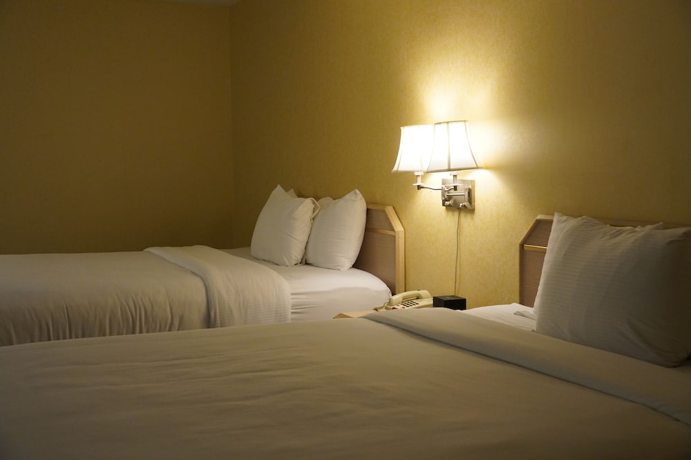 Timberland Inn & Suites - photo 49