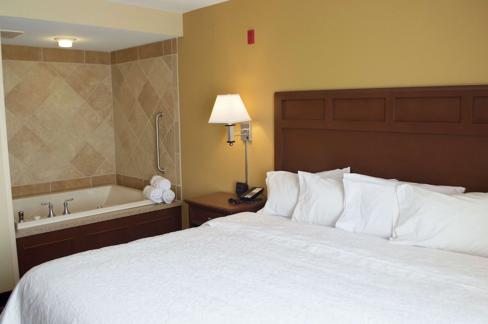 Hampton Inn & Suites Columbia at University - photo 12