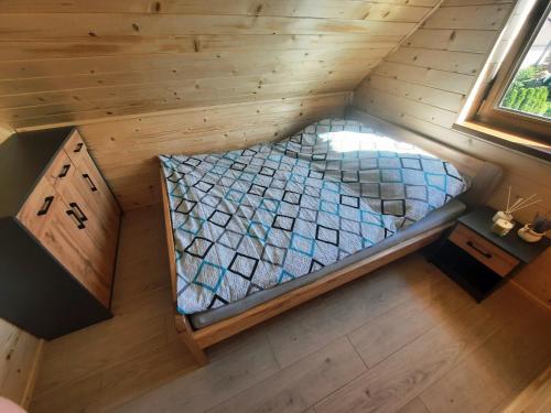 Domki Forest in Zwierzyniec, Poland