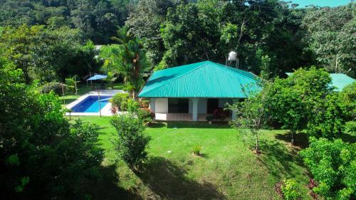 Toucan Escape in Ciudad Cortes, Costa Rica